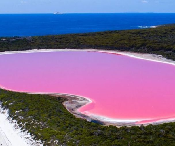 activity_detail_image