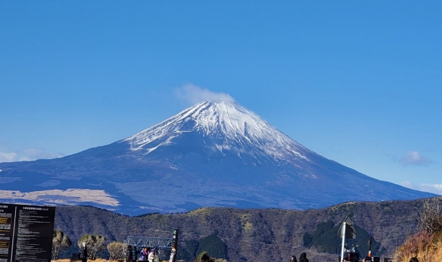 하코네 프라이빗 일일 투어 (아시노코 호수, 로프웨이, 오와쿠다니 계곡, 하코네 신사)