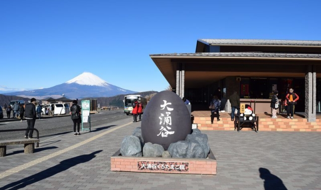 하코네 프라이빗 일일 투어 (아시노코 호수, 로프웨이, 오와쿠다니 계곡, 하코네 신사)