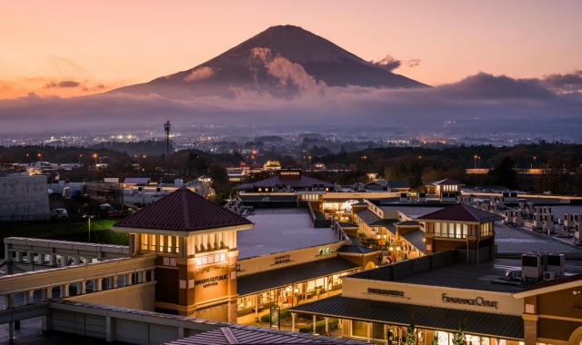 도쿄 출발: 후지산 프라이빗 차량 일일 투어 (후지산 & 가와구치호)
