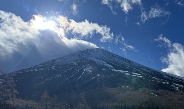 도쿄 출발: 후지산 프라이빗 차량 일일 투어 (후지산 & 가와구치호)