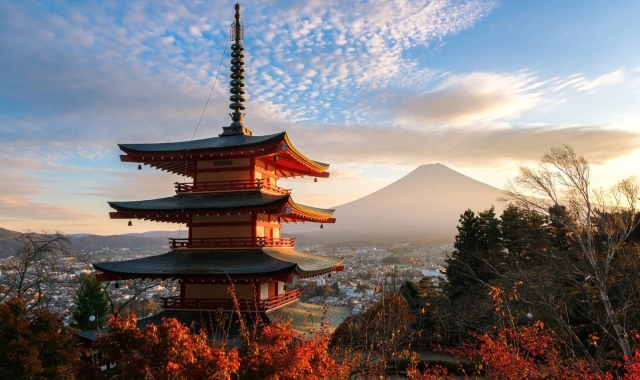 도쿄 출발: 후지산 프라이빗 차량 일일 투어 (후지산 & 가와구치호)