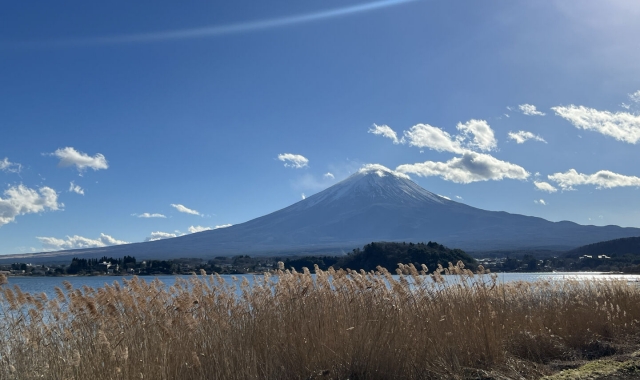 도쿄 출발: 후지산 프라이빗 차량 일일 투어 (후지산 & 가와구치호)