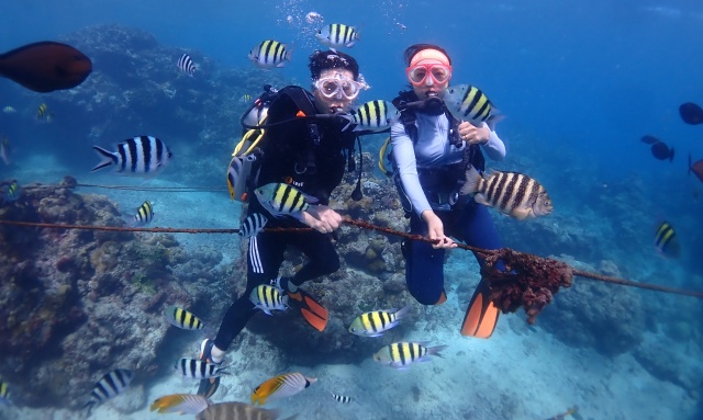 사이판 스쿠버 다이빙 체험