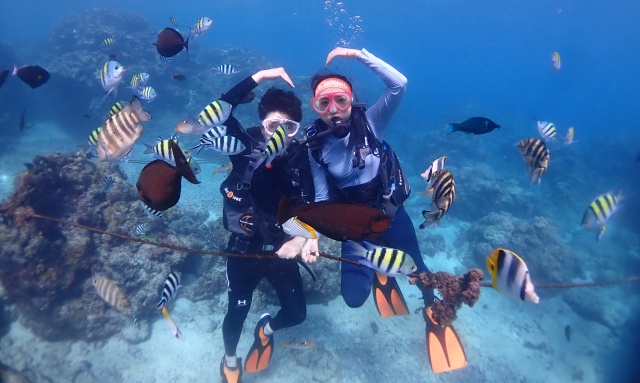 사이판 스쿠버 다이빙 체험