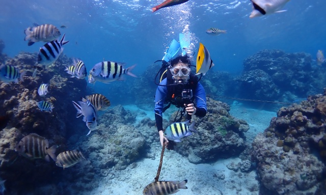 사이판 스쿠버 다이빙 체험