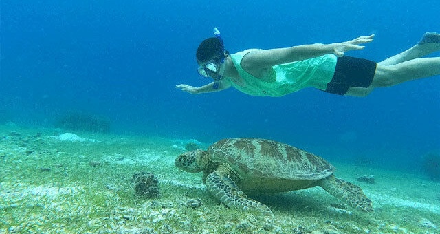 [렛츠고보홀] 보홀 나팔링 & 발리카삭 먹방 호핑 투어 (씨푸드 점심, 간식)