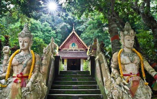 [어디든지] 왓파랏 + 도이수텝 야경 투어