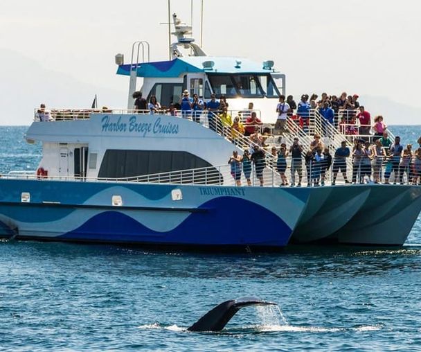 activity_detail_image