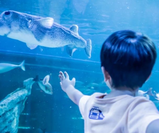 activity_detail_image