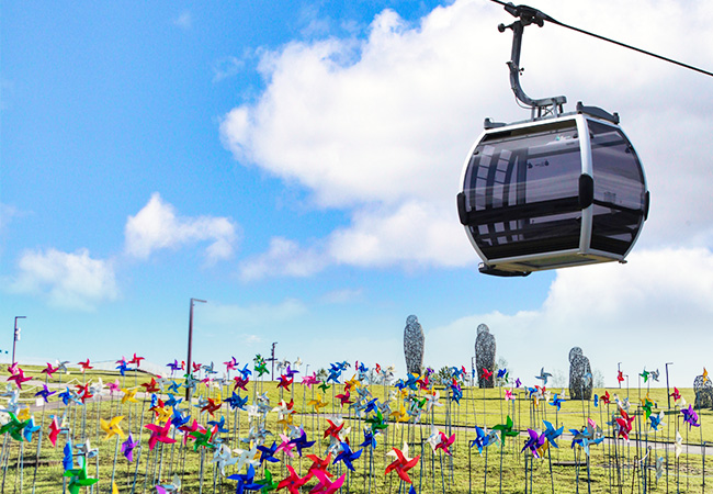 경기 파주케이블카 + 갤러리 그리브스 통합입장권