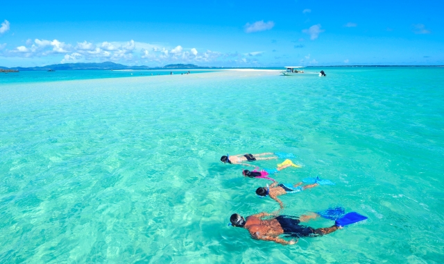 이시가키섬 환상의 섬 스노클링 투어