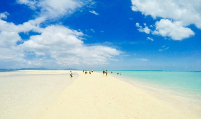 이시가키섬 환상의 섬 스노클링 투어