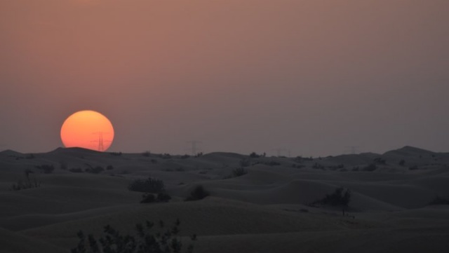 [오전/오후 B.B.Q 디너 뷔페 포함] 두바이 붉은 사막 사파리 투어