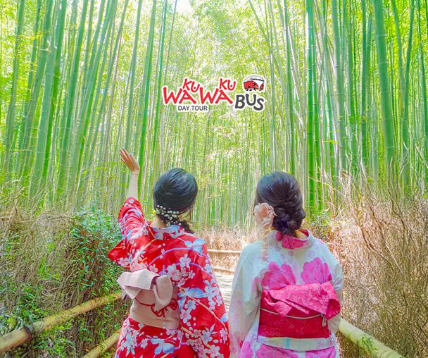 activity_detail_image