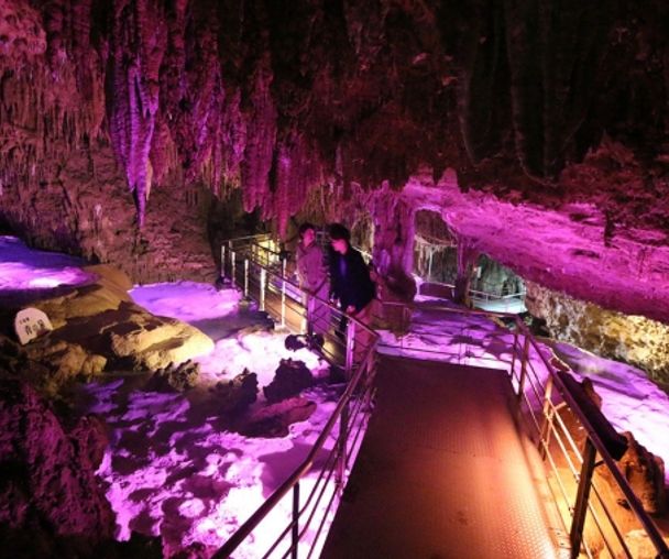 activity_detail_image