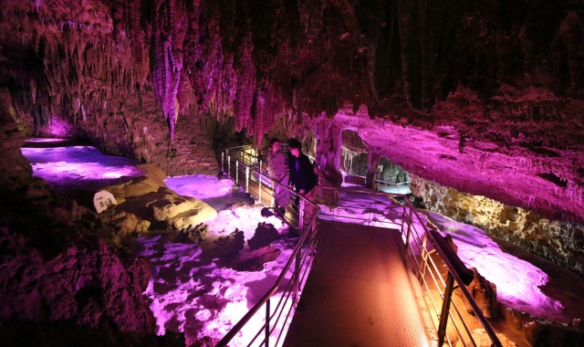 오키나와 펀패스 남부 버스 투어