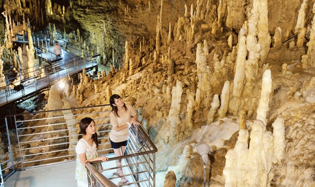 오키나와 펀패스 남부 버스 투어