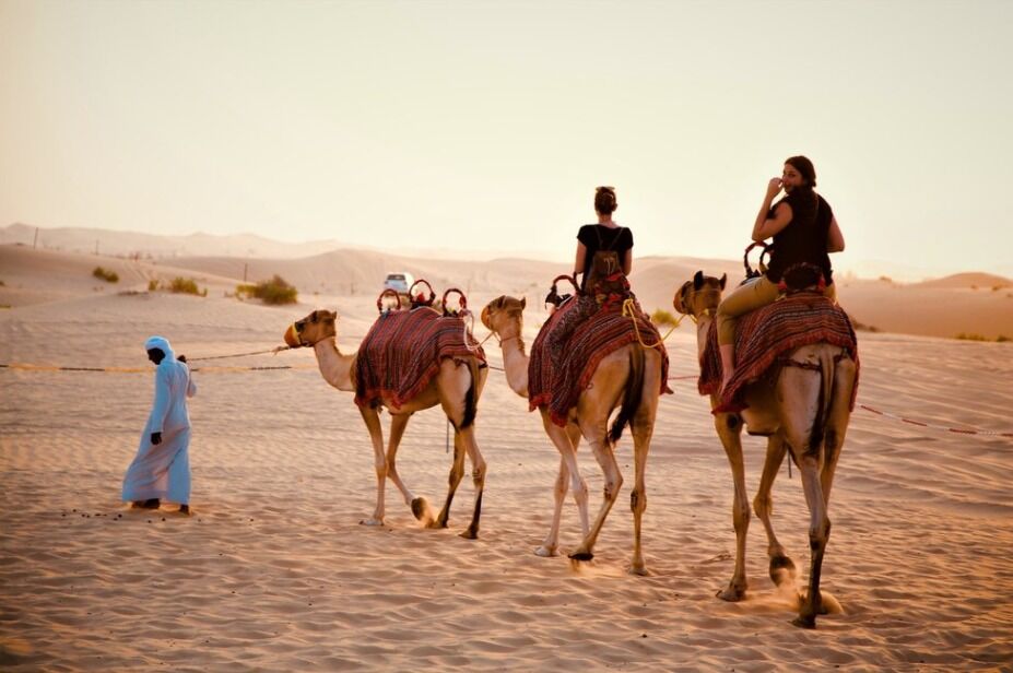 Abu Dhabi: Desert Safari Tour (with Pickup, Shared/Private Option)