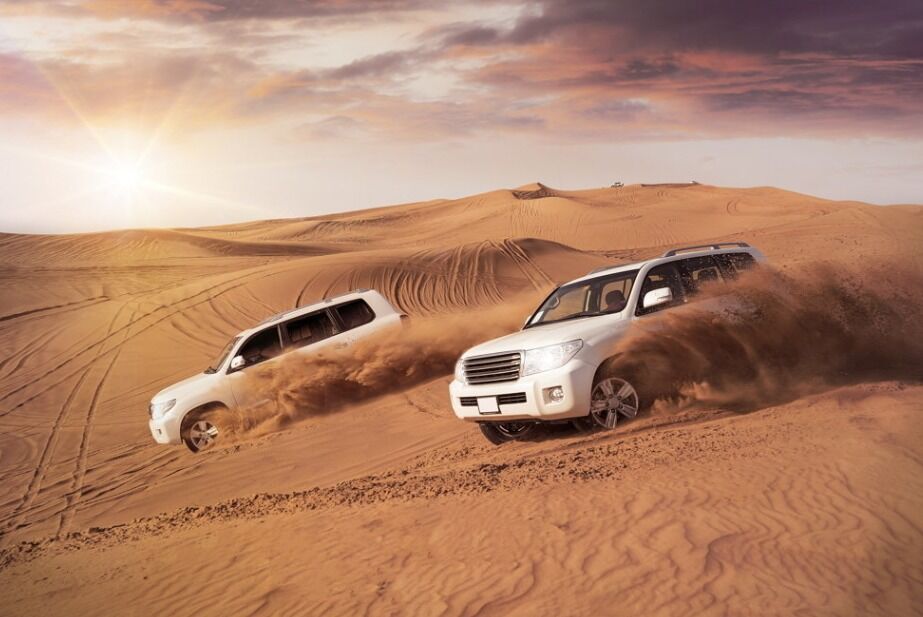 Abu Dhabi: Desert Safari Tour (with Pickup, Shared/Private Option)