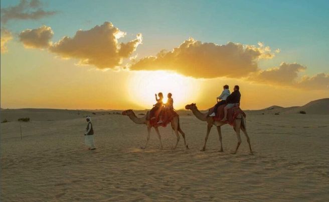 Abu Dhabi: Desert Safari Tour (with Pickup, Shared/Private Option)