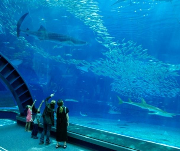 activity_detail_image