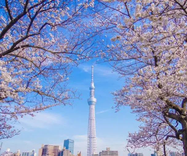 activity_detail_image