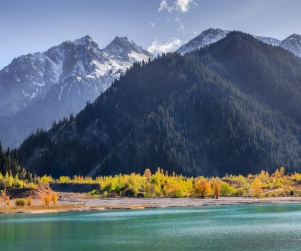 activity_detail_image