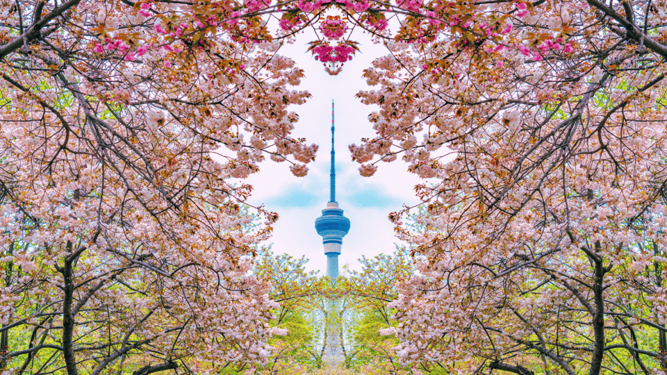 Beijing: CCTV Tower Observation Deck Ticket