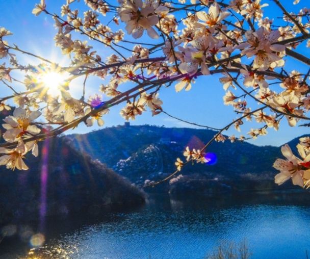 activity_detail_image