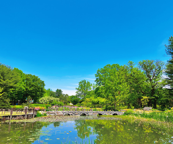 activity_detail_image