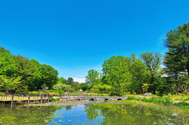강원 춘천 남이섬 입장권 (선박 포함)