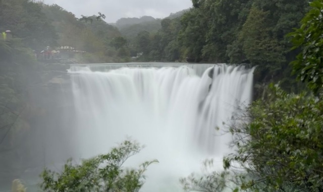 [피기네투어] 타이베이 예스진지 / 예스지 / 예스허지 / 예스폭지 선택 택시 투어