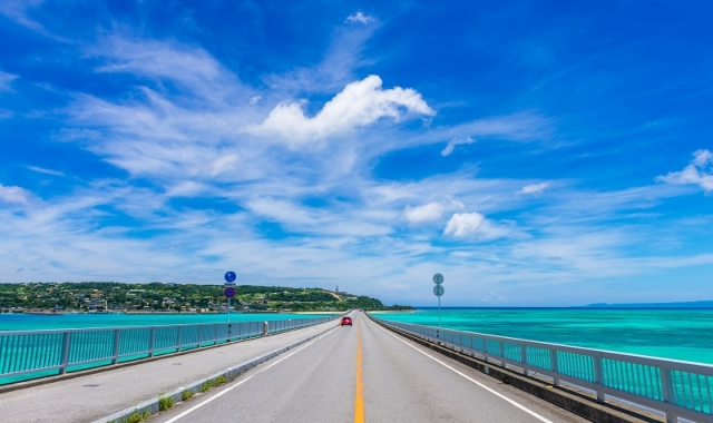 LeaLea One-Day Sightseeing Tour