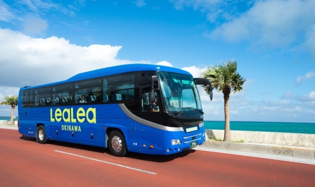 LeaLea One-Day Sightseeing Tour