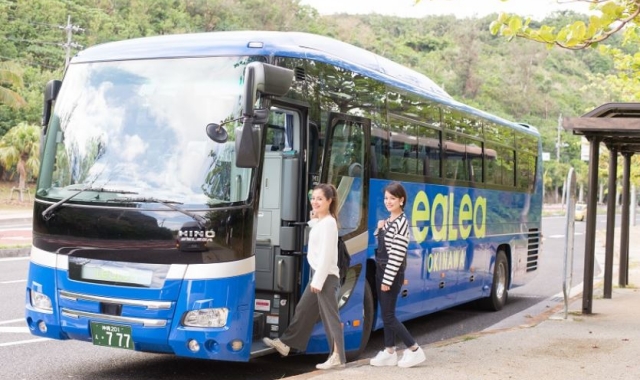 LeaLea One-Day Sightseeing Tour