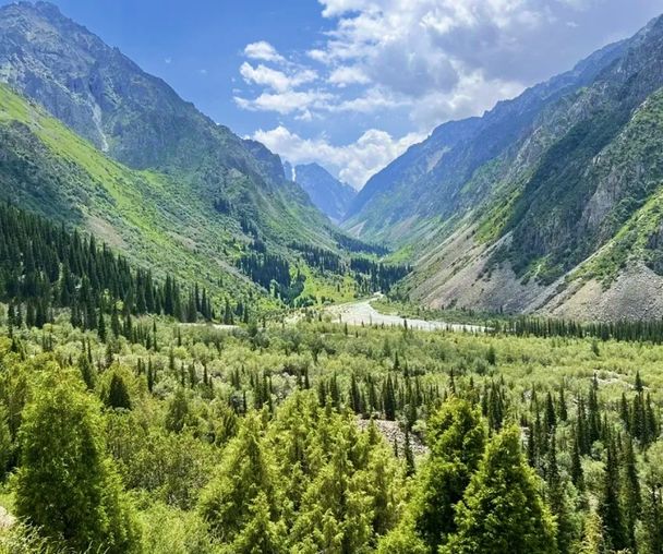 activity_detail_image