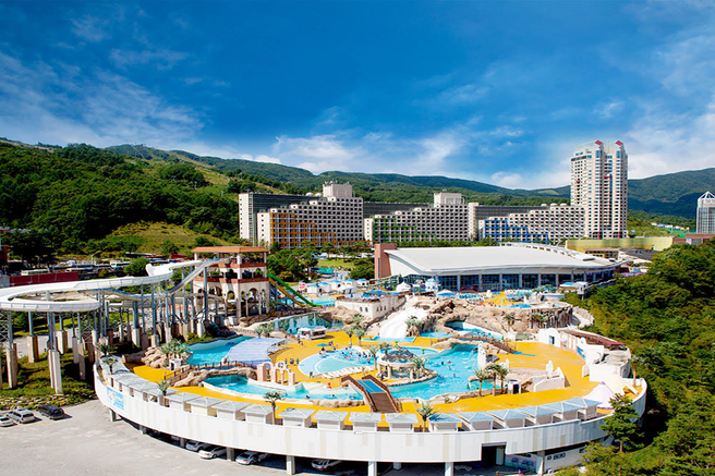 강원 평창 휘닉스파크 블루캐니언 워터파크 종일권