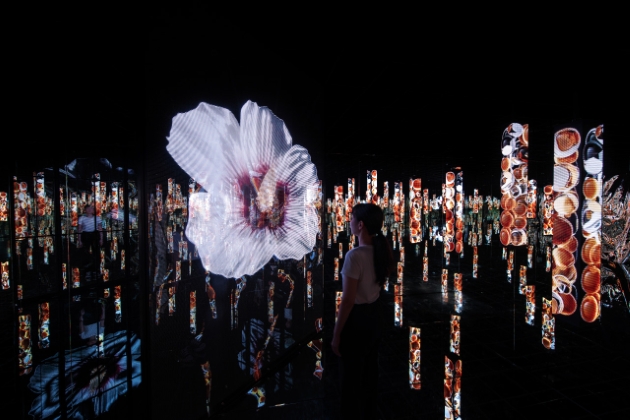 부산 아르떼뮤지엄 + 씨라이프부산아쿠아리움 패키지