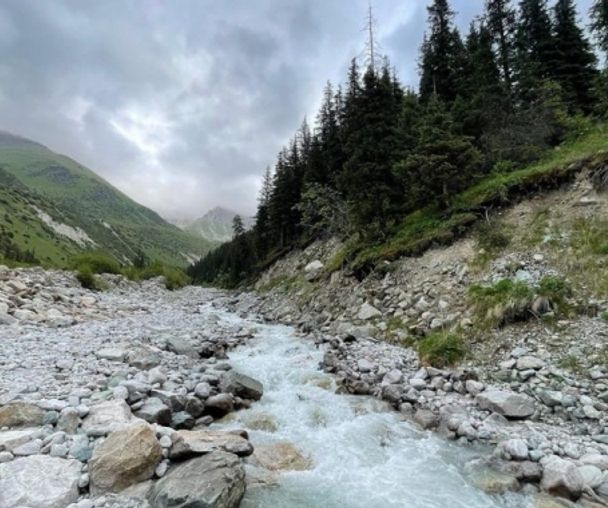 activity_detail_image