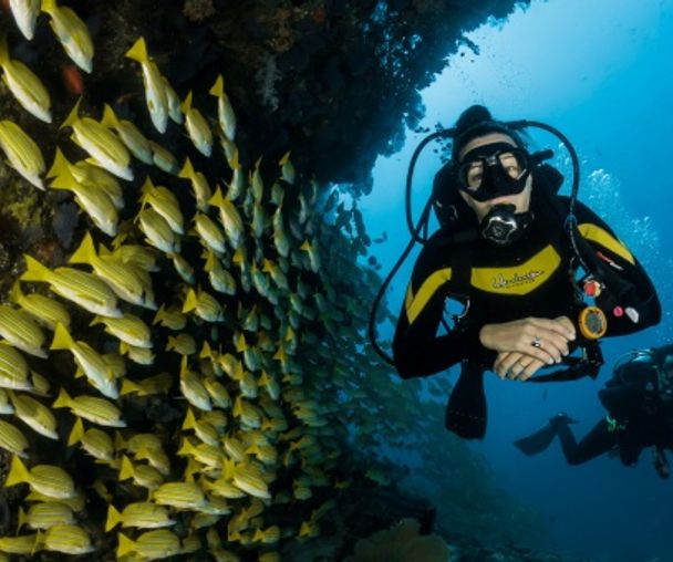 activity_detail_image