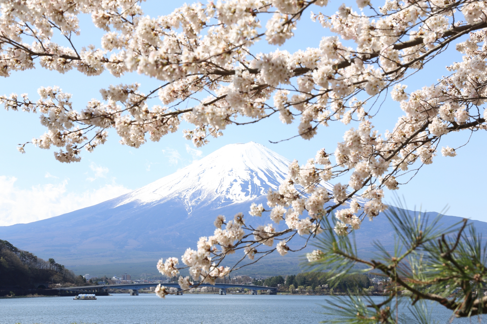 도쿄 출발: 후지산 시그니처 일일 투어  (C코스)