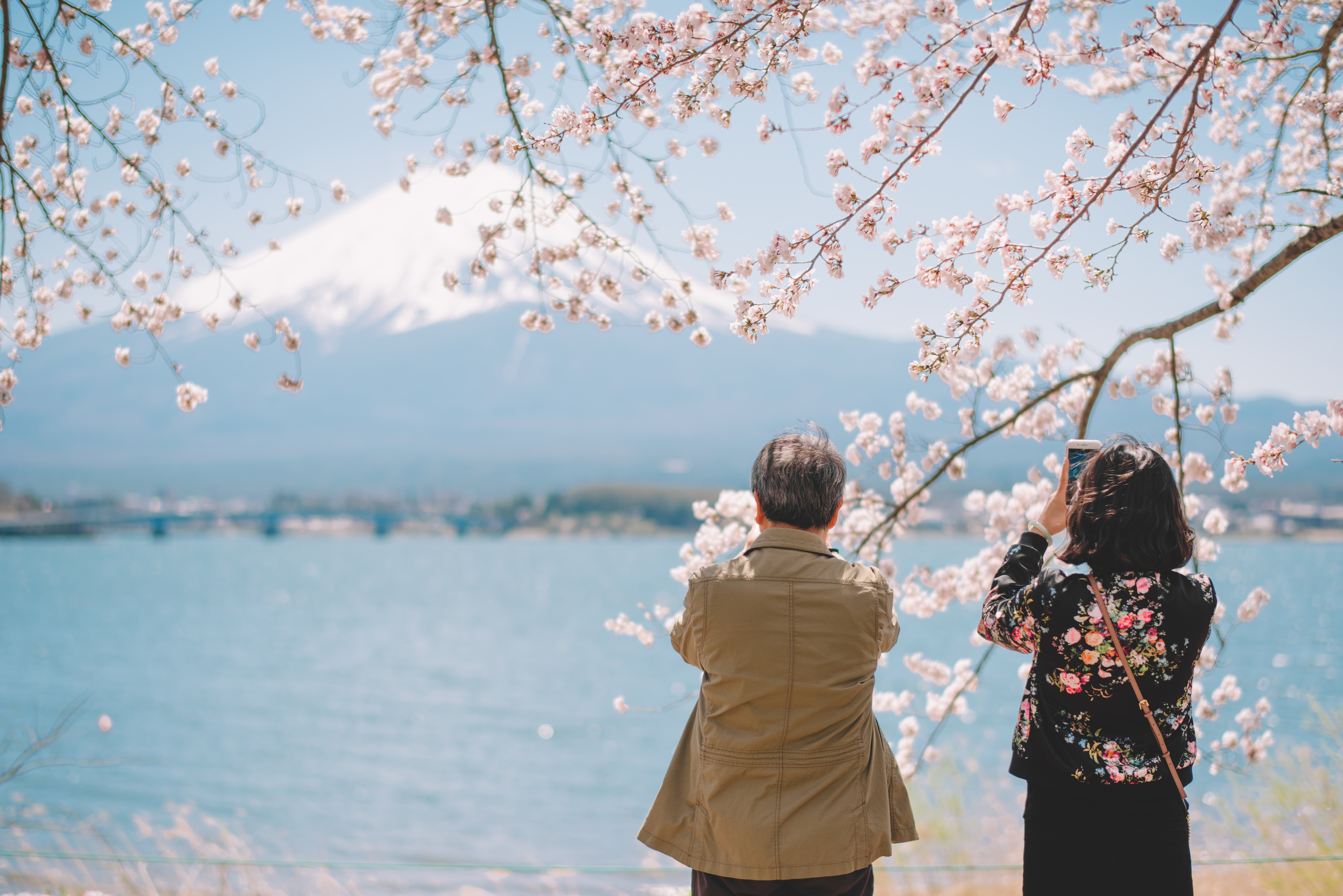 도쿄 출발: 후지산 시그니처 일일 투어  (C코스)
