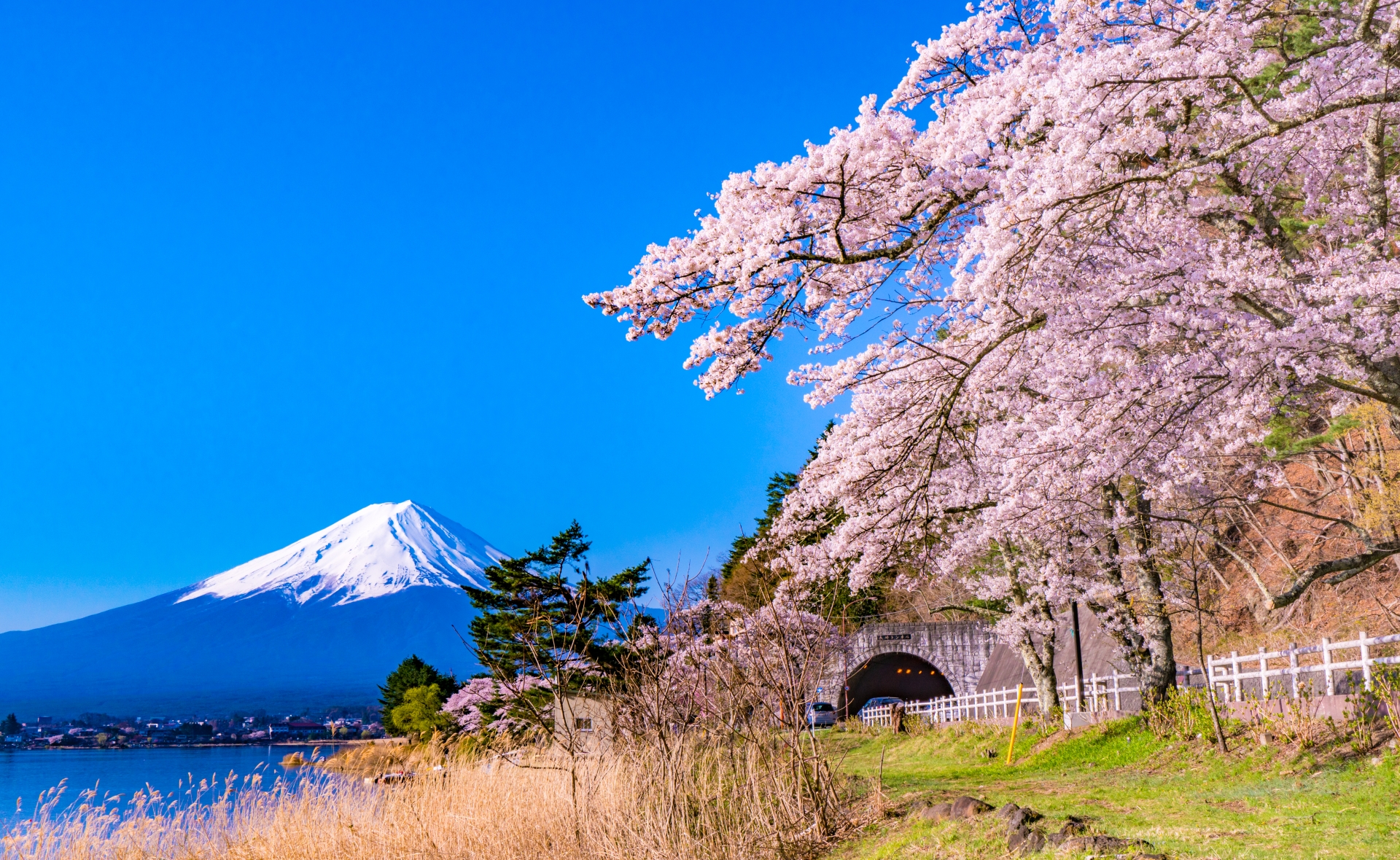 도쿄 출발: 후지산 시그니처 일일 투어  (C코스)