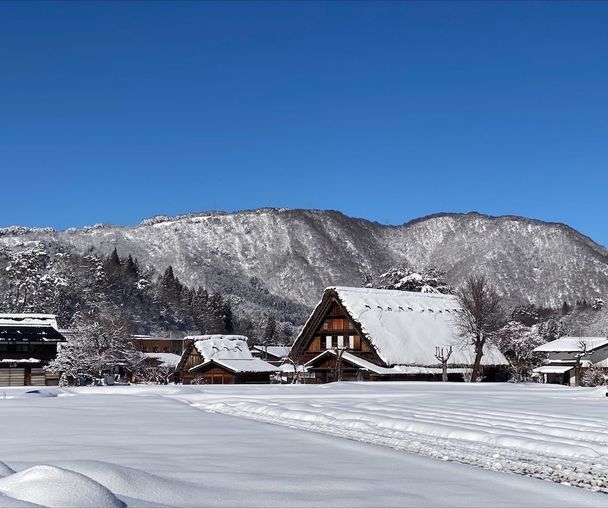 activity_detail_image