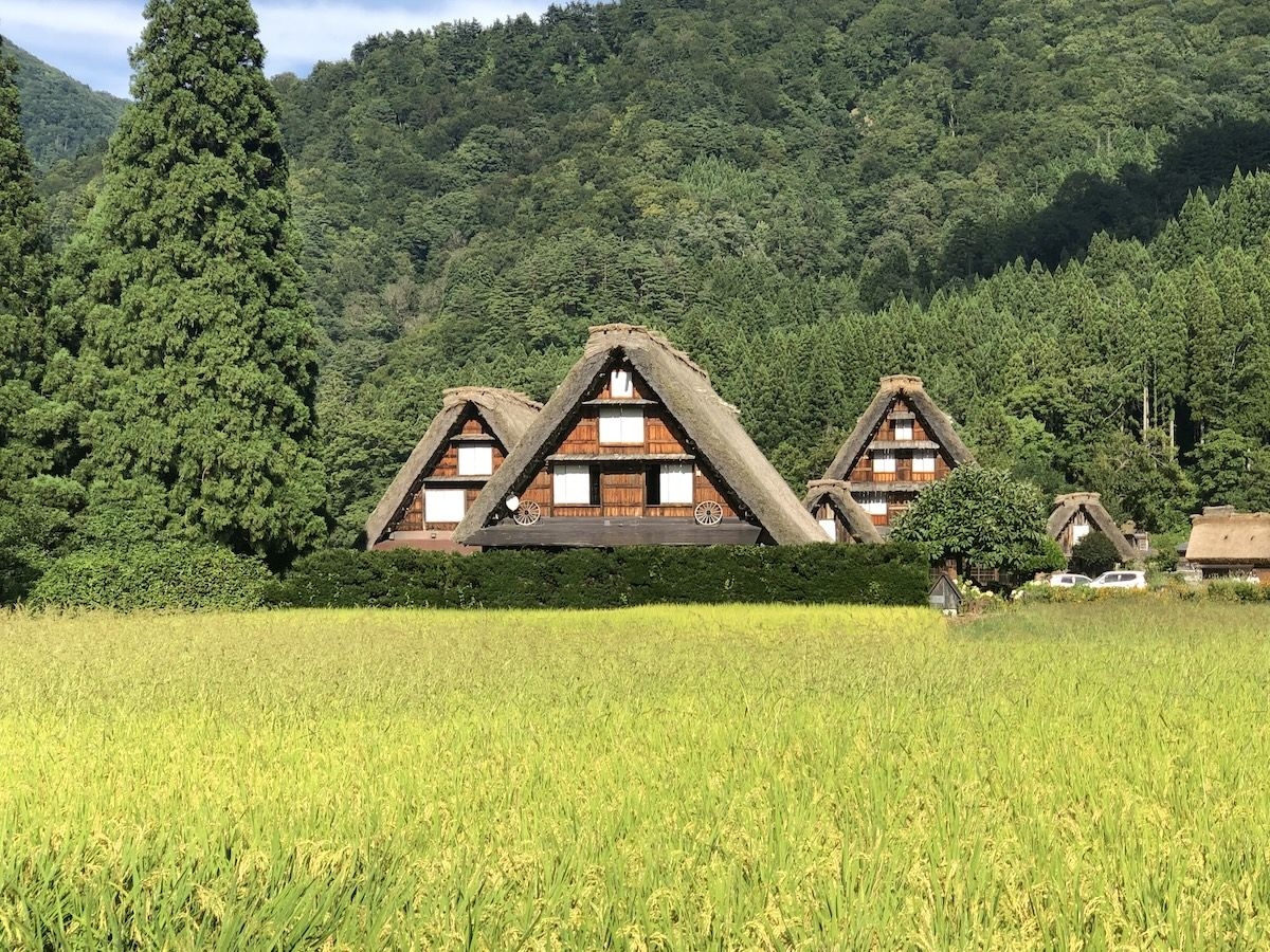 Nagoya - Takayama / Shirakawa-go One-Way Highway Bus Ticket