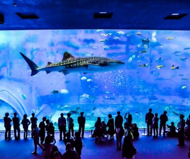 activity_detail_image