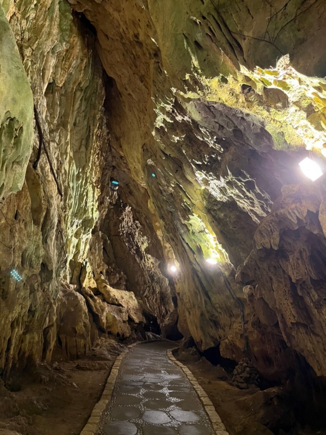 가오슝 출발: 컨딩 남쪽 땅끝마을 완전 정복 일일투어 (한국어 가이드)