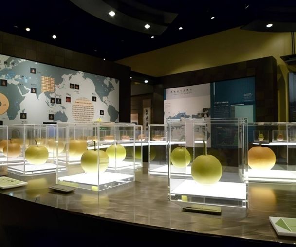 activity_detail_image