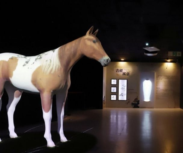 activity_detail_image